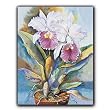 Double Catelaya - Gift Enclosure Cards (set of 12)