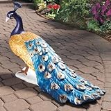 IMAGE OF The Regal Peacock