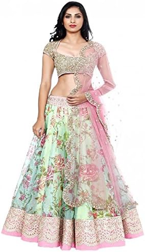 Lavri Net Printed Semi-Stitched Lehenga Choli Pink OS