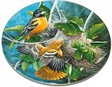 Knowles Birds of Your Garden Plate Baltimore Oriole