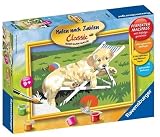 Ravensburger 28078 - Golden Retriever - Malen nach Zahlen, 18 x 24 cm