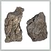 Bonsai Tree Scholar Stone from Shilin China - Two Medium