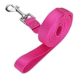 Dog Leash, Itery Pet Durable Leash Strap for Puppy Pet Leash Rope 6-feet Long 3/4 Inch Wide (Hot Pink, 6 Feet)