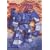 ���z�̉�_�O���� vol.10 [DVD]