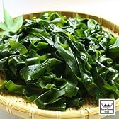 ロイヤルガストロ　岩手県三陸産・一等級 養殖わかめ（湯通し塩蔵ワカメ/130g）