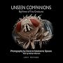 Unseen Companions: Big Views of Tiny Creatures