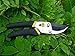 Bypass Hand Pruning Shears, Secateurs, Clippers. 8 inch. Rugged all Steel Construction.