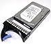 IBM 1TB SAS 7200 RPM 6GB NL 3.5-Inch HDD Internal Bare or OEM Drives 42D0777