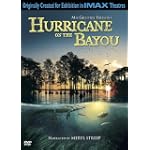 Hurricane on the Bayou