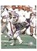 Randy Gradishar Autographed/Hand Signed Denver Broncos 8x10 Photo