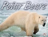 Polar bears