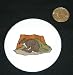 3 button / pin printed with australia, opossum, wallaby, brown, hibernation