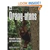 Orang-utans: Behaviour, Ecology and Conservation