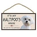 Imagine This Wood Breed Decorative Mortgage Sign, Maltipoo