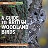 A Guide to British Woodland Birds