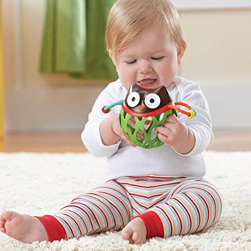 Skip-Hop-Explore-and-More-Roll-Around-Toy