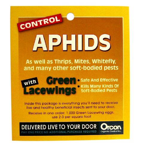 Orcon GL-C1000 Live Green Lacewing Eggs, 1,000 Count