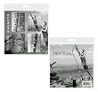 Classic New York Photography 2x3 Inch Button Fridge Magnets (Set of 4 Large Magnetic Buttons)