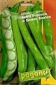 Fava Extra Precoce a Grano Bianco-Broad Bean Seeds-5 g