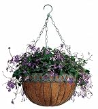 Austram 112778 14-Inch Antique Green Round Queen Anne Hanging Planter