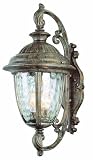 Trans Globe Lighting 5901 BRT 20 3/4 Inch 2 Light Outdoor Medium Wall Lantern, Burnished Rust 51qyiMNCNgL. SL160 Trans Globe Lighting 5901 BRT 20 3/4 Inch 2 Light Outdoor Medium Wall Lantern, Burnished Rust