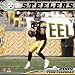 NFL Pittsburgh Steelers 2009 Calendar