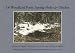 Search : Of Woodland Pools, Spring-Holes and Ditches: From the Journal of Henry David Thoreau