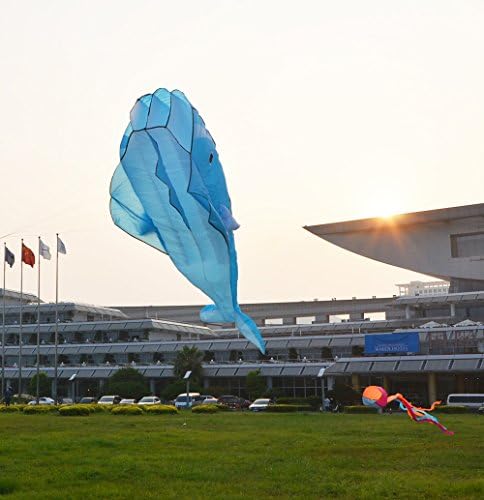 3D Supersize Inflatable Dolphin Kite With handle And line