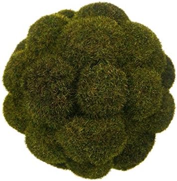 6 Inch Woodland Moss Ball