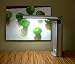 Compact Lamp - Satin Silver
