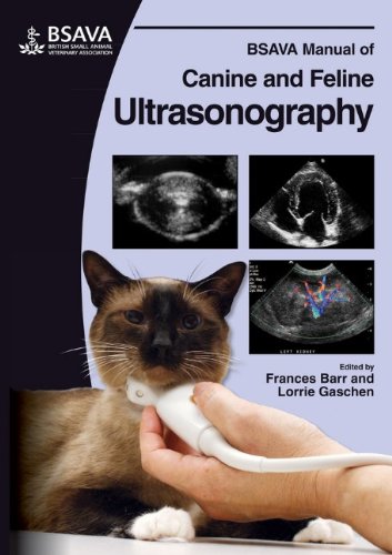 BSAVA Manual of Canine and Feline Ultrasonography (BSAVA British Small Animal Veterinary Association)