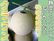 もったいない!甘すぎてお尻が割れた【秘密の訳あり】静岡クラウンマスクメロン