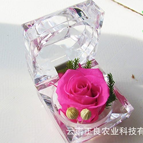 Xuuyuu (Tm)valentine's Day Gift Christmas Gift Rose Flower Preservation Ring Box