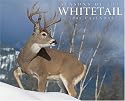 Seasons of the Whitetail 2008 Calendar