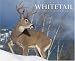 Seasons of the Whitetail 2008 Calendar
