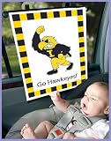 Sunshade - University of Iowa