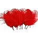 10pcs Home Decor Red Ostrich Feathers