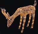 3D Eating Grass Grazing Reindeer Chrismas Lights Feature