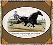 Brown Jug Horse Tapestry Throw Blanket