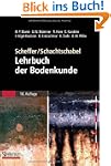 Scheffer/Schachtschabel: Lehrbuch der...