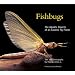 Fishbugs: The Aquatic Insects of an Eastern Flyfisher