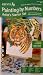 Paint By Number Starter Set Makes A Great Introduction For Artists Of Any Age