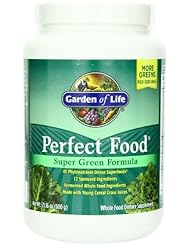 Health and Beauty: Garden of Life Perfect Food Super Green Formula, 600 Grams - Garden of Life