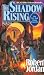 The Shadow Rising (Wheel of Time)