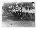 Historic Print (L): [Harvey W. Wiley family, Sioux City, Iowa]: Dining at old farm