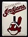 Sporting Goods : Cleveland Indians Light Switch Cover - single