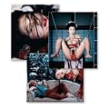 Nobuyoshi Araki, Bondage Book