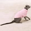 Cat Winte Fuzzy Sweater Small