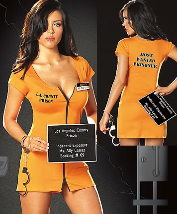 Womens Sexy Police Costume Lingerie 