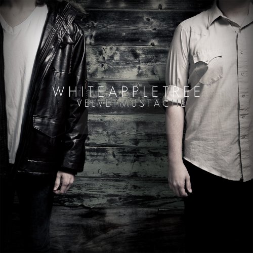 White Apple Tree - HB Hits Aktuell - Zortam Music